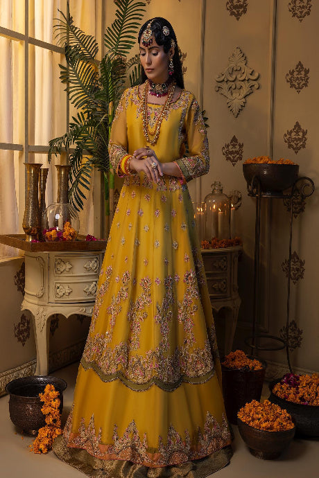 Fashionable Pure Georgette Chiken Embroidery Latest Designer Gown