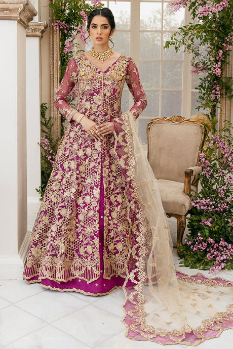 Royal Rani Color Anarkali Designer Fancy Silk Gown
