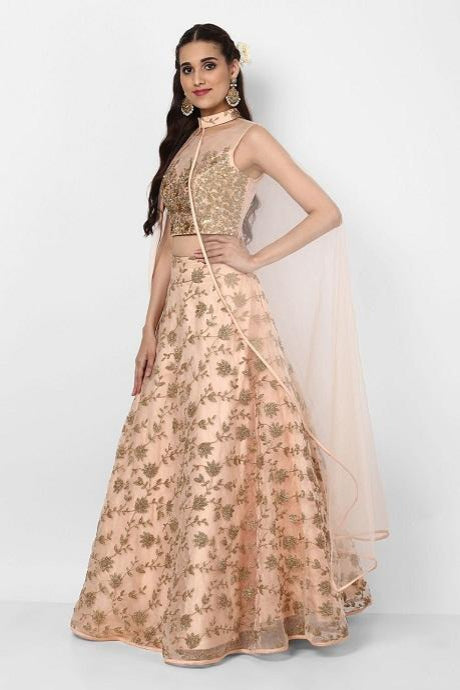 Cream Color Hand Work Latest Designer Embroidery Work Net Gown