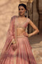 Beguiling light Pink color Designer Party Wear Lehenga for bride
